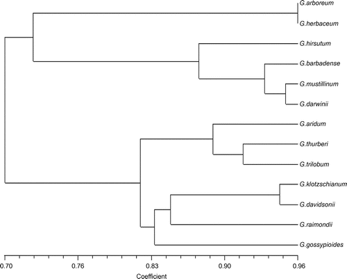 Figure 1. Dendrogram of cotton accessions based on RAPD and SSR markers.
