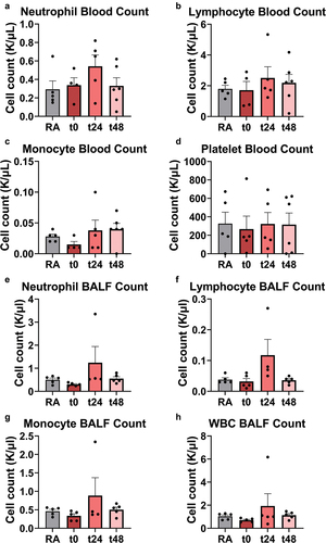 Figure 4. Increases, though not statistically significant, were observed in key immune populations in blood (A-D) and BALF (E-H) from EC-exposed mice. Neutrophils (A,E), lymphocytes (B,F), monocytes (C, G), platelets (D), and total white blood cells (H) were counted with a ProCyte Dx Hematology Analyzer. No significance relative to RA-exposed mice was detected via one-way ANOVA with Holm-Šídák correction, or when comparing RA-exposed mice to all EC-exposed mice via two-tailed Student’s t-test. Error bars SEM.