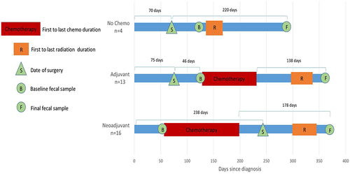 Figure 1 Timing of baseline (B) and final (F) fecal sample collection in relation to date of diagnosis and standard treatment.