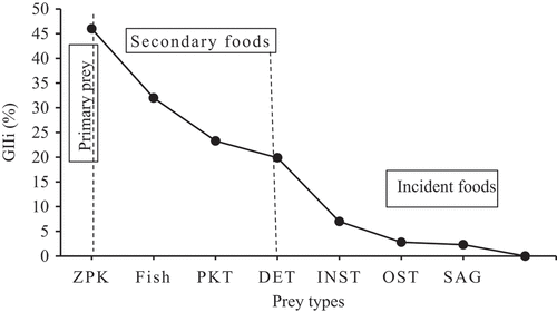 Figure 2. The percentage contribution of geometric index importance (%GIIi) in the diet of C. gariepinus (n = 379) from Ribb Reservoir.