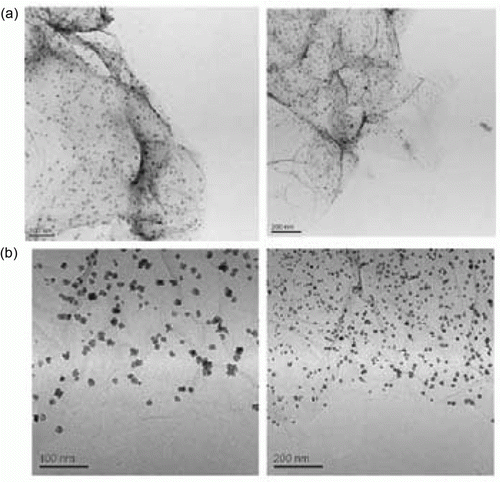Figure 15.  TEM images of the palladium nanoparticles supported on graphite oxide (66). Reprinted with permission from Elsevier © 2010.