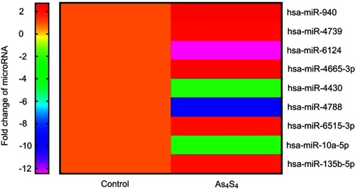 Figure 1 The heat map of miRNA expression difference induced by As4S4 in AGS cells.