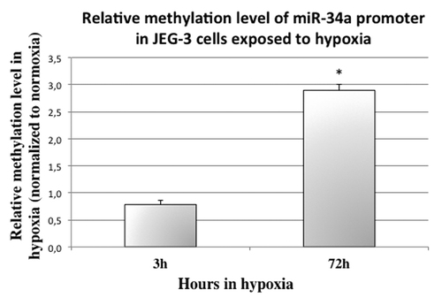 Figure 5. miR-34a promoter methylation is significantly increased in cells submitted to 72 h of hypoxia. McrBC digestion followed by quantitative PCR in cells submitted to 3 and 72 h of normoxia or hypoxia was performed to assess methylation status. The Ct values of each sample were normalized by those obtained for non-digested DNA. P = 3.9 × 10−3 by two-factor ANOVA. The graphical representation shows the relative methylation status in hypoxia compared with normoxia. *P < 0.05.