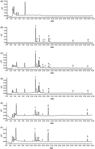 Figure 1. The HPLC fingerprints of various samples. A: GAM; B: references in methanol; C: AEOF in GAM; D: intestinal bacterial transformed AEOF in GAM; E: intestinal bacterial transformed AEOF transported by Caco-2 cell monolayers; F: intestinal bacterial transformed AEOF transported by everted gut sacs. 1: 2"-O-β-L-galactopyranosylorientin; 2: trolline; 3: orientin; 4: vitexin; 5: isoquercetin; 6: veratric acid; 7: trollioside; 8: quercetin; 9: proglobeflowery acid.