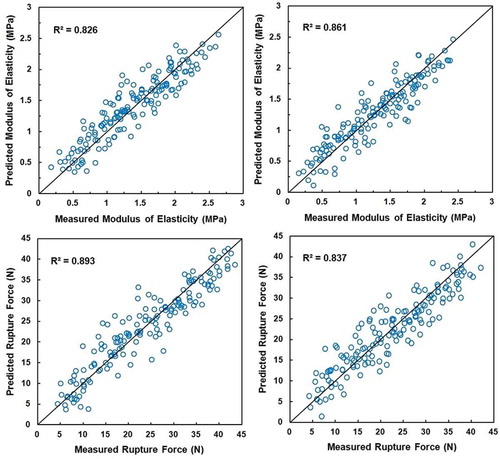 FIGURE 6 Scatter plots of measured versus predicted values of mechanical properties obtained by linear model: modulus of elasticity of Shomali (top left) and Karaj (top right) cultivars; rupture force of Shomali (bottom left) and Karaj (bottom right) cultivars. The diagonal black line represents the perfect prediction line.