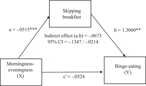 Figure 1. Mediation model with morningness-eveningness as predictor, breakfast skipping as mediator, and binge-eating as the outcome variable.