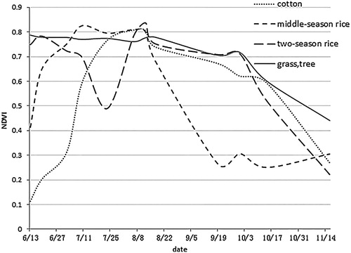 Figure 7. Time-series NDVI curves for autumn-harvest crops from June to November.