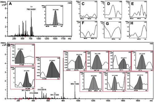 Figure 9 FT-MS(+)-MS spectra of the homogenate extracts of the tumor, the blood and the organs of S180 mice treated with 1.0 μmol/kg/day BCESA for nine consecutive days. (A) FT-MS(+)-MS spectra of the homogenate extract of the blood, in the local amplified inset only an ion peak of BCESA plus H is found at 595.25368; (B) FT-MS (+)-MS spectrum of the homogenate extract of the tumor tissue, in the local amplified insets the ion peaks of BCESA plus H, Ser-Ala plus H, β-carboline-3-carboxylic acid plus H, 1-methyl-β-carboline-3-carboxylic acid plus H, 1-carbonylmethyl-β-carboline-3-carboxylic acid plus H, 1-methyl-β-carboline-3-car- boxylic benzyl ester plus Na, 1-carbonylmethyl-β-carboline-3-carboxylic benzyl ester plus H, N-[(3-carboxyl-β-carboline-1-yl)ethyl]-Ser-Ala plus Na, N-[2-hydroxyl-(3-benzyloxycarbonyl-β-carboline-1-yl)-ethyl]-Ser-Ala-OBzl plus H and N-[(3-benzyloxycarbonyl-β-carboline-1-yl)-ethenyl]-Ser-Ala-OBzl plus Na occur at 595.25283, 177.08574, 213.06634, 227.07921, 255.07739, 339.11039, 345.12512, 437.14378, 611.24340 and 615.22143, respectively; (C-H) FT-MS(+)-MS spectra of the homogenate extracts of the heart, the liver, the spleen, the lung, the kidney and the brain, in which occur no any ion peak related to BCESA.Abbreviation: BCESA, N-[(3-Benzyloxycarbonyl-β-carboline-1-yl)ethyl]-Ser-Ala-OBzl.