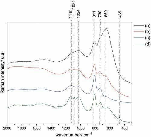 Figure 5. Raman spectra of the samples with the addition of the biopolymer admixture: (a) 0 days of age; (b) 7 days of age; (c) 21 days of age and (d) 90 days of age