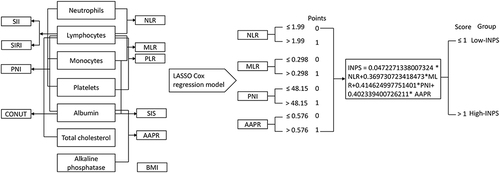 Figure 1 Process diagram for INPS construction and risk stratification (the asterisk *means the multiplication).