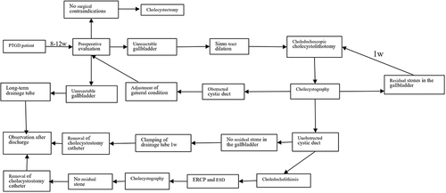 Figure 3 Flow chart of gallbladder-preserving cholecystolithotomy.