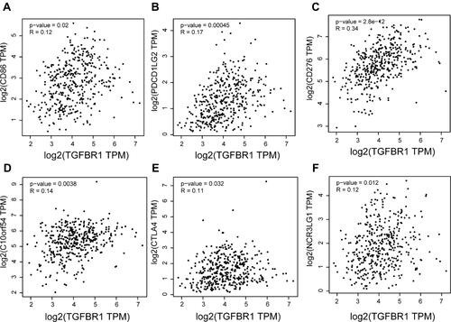 Figure 10 (A–F) Correlation analysis between TGFBR1 expression and immune checkpoint based on GEPIA2 in STAD.