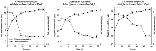 Figure 2. The cellular concentration and substrate consumption of Clostridium butyricum.