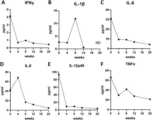 Figure 2. The serum levels of interleukin (IL)-8 levels correlate with the activity of myositis in the juvenile patient with anti-NXP2 antibody-positive DM. (A–F) Serum levels of interferon (IFN)-γ (a), IL-1β (B), IL-6 (C), IL-8 (D), IL-12p40 (E), tumor necrosis factor (TNF)-α (F). Time points are before treatment (0), and 4, 8, 12, 20 weeks after the initiation of treatment. ND: not detected.