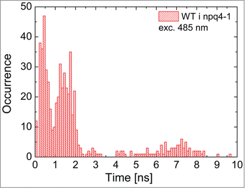 Figure 3. Histogram of decay times obtained by fitting a three-exponential decay model to fluorescence transients measured for WT and npq4–1. The histogram contains decay times extracted from fluorescence transients measured for five points across a leaf for all four preparations (control, DCMU, local, systemic), each treated with five excitation powers (12 μW, 3.8 μW, 1.2 μW, 380, nW, and 120 nW at the wavelength of 485 nm).