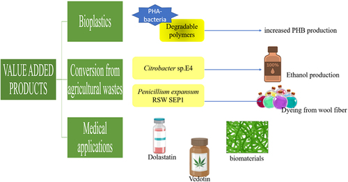 Figure 5. Value added products from marine microorganisms.