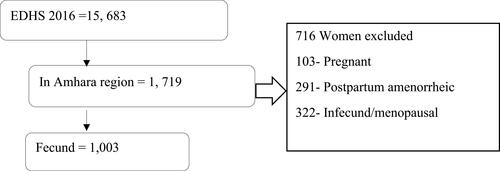 Figure 1 Schematic presentation of the selection of reproductive-age women to identify factors associated with LACM contraceptive methods utilization, Amhara region, Ethiopia, 2016.