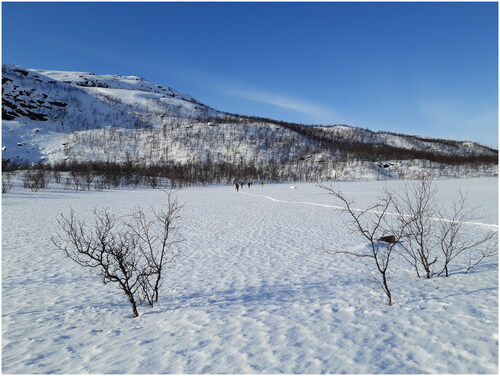 Figure 4. A skier on a Võsu-Oandu ski route. The track is yet untouched from hikers and animals. Photo: Joonas Plaan.