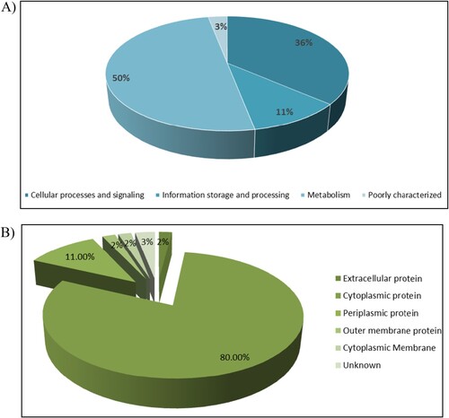 Figure 7. (A) Functional classification (Swiss-Prot/ TrEMBL) (B) Subcellular localization (PSORT) of differently expressed proteins of Burkholderia pseudomallei SCV and WT identified using two-dimensional gel electrophoresis analysis.