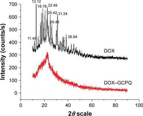 Figure 7 X-Ray diffractometer spectra of DOX and DOX–GCPQ formulation.Abbreviations: DOX, doxorubicin; GCPQ, quaternary ammonium palmitoyl glycol chitosan.