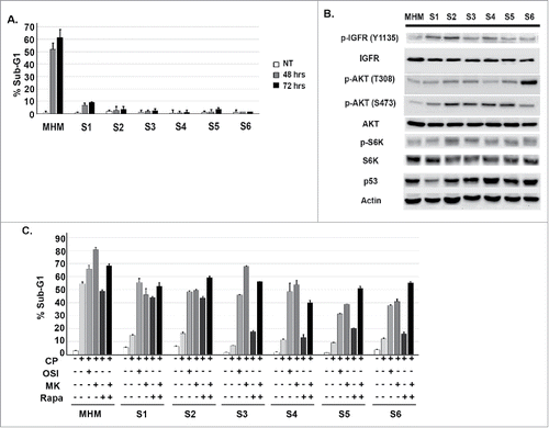 Figure 1. Cisplatin resistant cells have heightened activation of the IGF-1R/AKT/mTORC1 pathway. (A) MHM cells and clones S1-S6 were treated with 10 μM CP for 48 and 72 hours. The percentage of cells with sub-G1 DNA was determined. Shown are the mean results of 3 separate experiments. (B) Parental and CP resistant clones were immunoblotted for the indicated proteins under untreated conditions. (C) Parental MHM and CP resistant clones were untreated or treated with CP (10 μM) alone or in combination with OSI906 (10 μM), MK2206 (10 μM), rapamycin (0.5 μM), or rapamycin plus MK2206 for 72 hours. Apoptosis was determined by percentage of cells with sub-G1 DNA content.