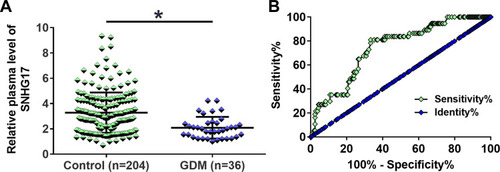 Figure 3 The predictive value of SNHG17 expression level at 22 weeks of gestation for GDM. During the follow-up period, a total of 36 GDM patients were diagnosed. The plasma level of SNHG17 expression was measured and compared by RT-qPCR. It was observed that the plasma levels of SNHG17 at 22 weeks of gestation were significantly lower in 36 GDM patients than in 204 healthy pregnant females (A). *p < 0.05. The predictive value of SNHG17 expression for GDM was analyzed by ROC curve. The result showed that the plasma levels of SNHG17 expression at 22 weeks of gestation were sufficient to distinguish GDM patients from healthy pregnant females (B).