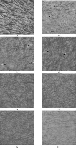 Figure 2. The fractogram of fracture of CM with different content of polyester resin ENYDYNE H 68372 TAE on q = 100 mas.fr. of epoxy oligomer ED-20 (with an increase of ×400): (a) epoxy matrix; (b) CM with content of q = 10 mas.fr. of polyester resin; (c) CM with content of q = 10 mas.fr. of polyester resin; (d) CM with content of q = 40 mas.fr. of polyester resin; (e) CM with content of q = 60 mas.fr. of polyester resin; (f) CM with content of q = 80 mas.fr. of polyester resin; (g) CM with content of q = 100 mas.fr. of polyester resin; (h) CM with content of q = 120 mas.fr. of polyester resin.