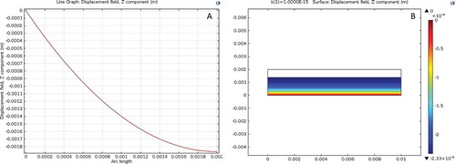 Figure 4. (a) The displacement of a raw potato idsc as a function of thickness under the applied pressure of 345 kPa. (b) The 2D view of compression of a raw potato disc under the applied pressure of 345 kPa.