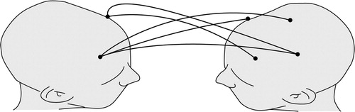 Figure 5. The study on interbrain synchronization.