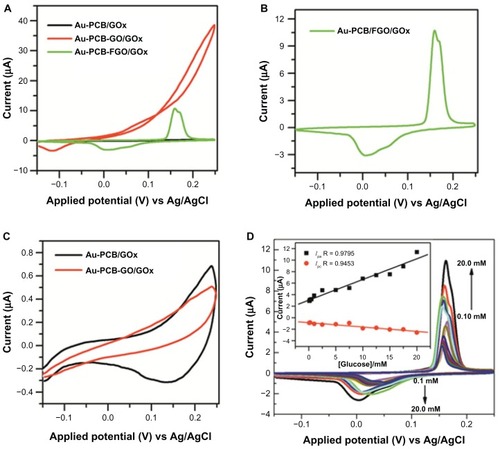 Figure 4 (A) CVs of GOx-modified Au-PCB (black trace), Au-PCB-GO (red trace), and Au-PCB-FGO electrode in PBS buffer (pH 7.4). (B) Focused CV curve of Figure 4A (green trace) GOx-modified Au-PCB-FGO electrode. (C) CVs of bare Au-PCB/GOx (black trace) and Au-PCB-GO/GOx (red trace) versus 20 mM D(+) glucose in PBS (pH 7.4). (D) CVs of Au-PCB-FGO-GOx versus D(+) glucose in PBS buffer at different concentration ranges from 20 mM to 0.1 mM, and the inset shows the corresponding plot of peak currents against molar concentrations of glucose.Notes: Scan rate: 50 mV/s. All the individual CV responses were measured by different electrodes prepared appropriately.Abbreviations: CVs, cyclic voltammograms; GOx, glucose oxidase; Au-PCB, gold printed circuit board electrode; Au-PCB-GO, gold printed circuit board electrode modified with graphene oxide; Au-PCB-FGO, gold printed circuit board electrode modified with functionalized graphene oxide; Au-PCB-FGO-GOx, gold printed circuit board electrode modified with functionalized graphene oxide and glucose oxidase; PBS, phosphate-buffered saline; Ag/AgCI, silver/silver chloride.