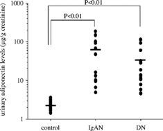 Figure 1. Individual urinary adiponectin levels of control group, IgA-nephropathy group (IgAN) and diabetic nephropathy group (DN). The ordinate data were logarithmically transformed.
