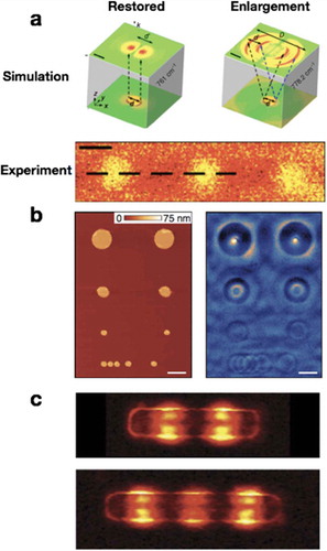 Figure 14. The applications of hyperbolic phonon polaritons. (a) Near-field imaging and nano-focusing realized by hBN–HPPs [Citation118]. Upper panel: simulated perfect imaging (ω0 = 761 cm−1) and enlarged imaging (ω0 = 778.2 cm−1) of gold nanodisk beneath the hBN crystal. Bottom panel: experimental nano-infrared images of gold nanodisk beneath hBN with the broadband incident laser. (b) Sub-wavelength focusing of mid-infrared light through an hBN crystal [Citation119]. Left panel: AFM image of gold disks on SiO2/Si substrate before hBN transfer. Right panel: near-field amplitude on the top of hBN crystal with incident frequency at 1515 cm−1. Scale bar, 1 μm. (c) Linear hBN dielectric antenna with different lengths [Citation120], 1327 nm in upper panel and 1713 nm in bottom panel. The incident frequency is 1432 cm−1. (a) Reproduced with permission [Citation118]. Copyright 2015, Nature Publishing Group. (b) Reproduced with permission [Citation119]. Copyright 2015, Nature Publishing Group. (c) Reproduced with permission [Citation120]. Copyright 2017, Nature Publishing Group.