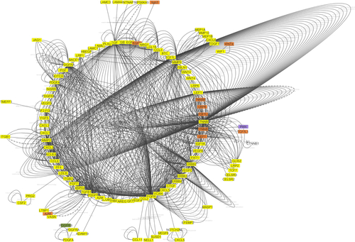 Figure S2 The interaction between genes and chemoattractions in wound healing process.