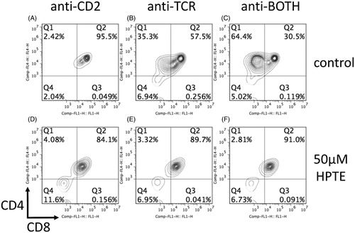 Figure 1. CD4 intermediate cells did not develop – or died – in differentiation cultures exposed to 50 μM HPTE. Embryonic thymocytes (GD16–18) were differentiated into CD4 intermediate cells in a 2-d differentiation culture. On Day 1, cells were cultured in presence of (A–C) antibodies alone or (D–F) antibodies plus toxicant. On Day 2, cells were washed and transferred to plates without antibodies or toxicant. At the end of Day 2, cells were washed and stained with fluorochrome-conjugated antibodies for CD4 and CD8. Upon stimulation with antibodies against CD2 (A, D), control cells (A) remained DP. Stimulation with antibodies against TCR (B, E) typically resulted in some differentiation into CD4 intermediate cells in controls (B). Cells stimulated with both antibodies (C, F) yielded the most CD4 intermediate cells in controls (C). CD4 intermediate cells were absent in HTPE-treated cells (D–F).