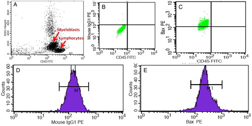 Figure 2. Flow cytometry-based assessment of the BAX protein in AML patients. (A) Gating of the myeloblasts on the basis of the CD 45 expression. (B) BAX isotype control on the gated myeloblasts used to demarcate the negative selection. (C) BAX expression on the gated myeloblasts. (D) MFI of the BAX isotype control. (E) MFI of the BAX on the gated myeloblasts.