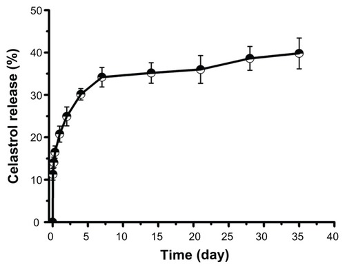 Figure 3 In vitro drug release profiles of celastrol from poly(ethylene glycol)-block-poly(ɛ-caprolactone) micelles (celastrol loading content: 7.36%) in phosphate buffered saline (pH 7.4) at 37°C. A typical two-phase release profile contained a burst release in the first stage followed by a sustained and slow release over a prolonged time of up to several weeks.Note: The data are presented as mean ± standard deviation (n = 3).