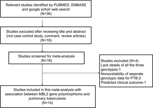 Figure 1 PRISMA 2009 flow diagram depicting identification and selection process (inclusion/exclusion) of the relevant published articles dealing with MBL2 gene polymorphisms and pulmonary tuberculosis risk for the present meta-analysis.