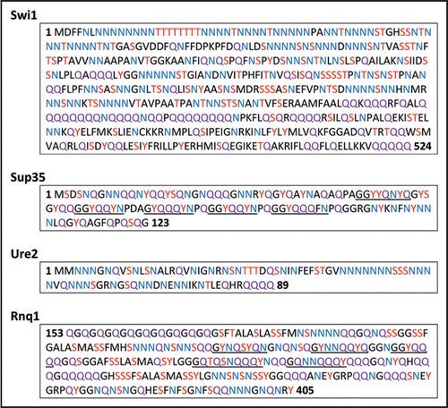 Figure 1 Amino acid sequences of prion domains of known prions. Asparagine (N) residues are highlighted in blue, glutamine (Q) residues are highlighted in purple, and serine (S), tyrosine (Y) and threonine (T) are highlighted in red. Underlined areas indicate the imperfect oligopeptide repeats in Sup35 and Rnq1.