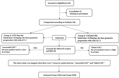 Figure 1 Flow diagram of included participants.