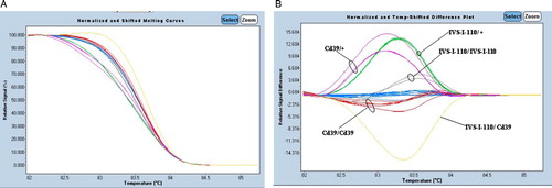 Figure 2. Application of HRM analysis for 12 patients with β-thalassemia. (A) High-resolution melting curves and (B) difference plots with redesigned new primer set (P5/BEX2R-A). Blue curves represent wild-type HRM profiles. The results were confirmed by direct DNA sequencing.