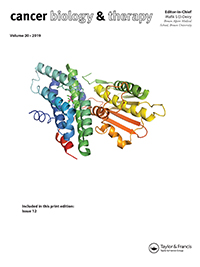 Cover image for Cancer Biology & Therapy, Volume 20, Issue 12, 2019
