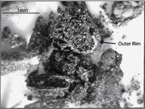 Figure 5. Photomicrograph of suspect PCB-infused nugget of silty soil at Study Site C, representing a remnant drop of waste oil released to the surface (Sample VOA-12 (8)). Note granular nature of interior material and distinct, thin, light-colored rim around the outer perimeter of the clump with darker particles of soil adhered to the outside.
