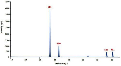 Figure 4 XRD spectrum of AgNPs synthesized using AME-flower extract.