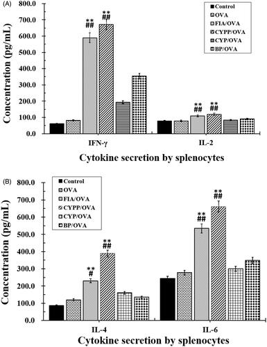 Figure 7. Cytokine secretion. Mice (n = 4) were immunized using different vaccine formulations. Splenocytes were harvested 21 d after the first immunization. For the ELISA assay, the splenocytes were re-stimulated using OVA (50 μg/mL) in vitro. The levels of IFN-γ and IL-2 (A), and IL-4 and IL-6 (B). Data are expressed as the mean ± SEM. *p < .05 and **p < .01 vs. the BP/OVA group, while #p < .05 and ##p < .01 vs. the CYP/OVA group.