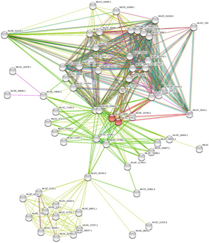 Fig. 1 Protein–protein interaction network formed by fifteen potassium transporters and its forty nine first shell interaction proteins.