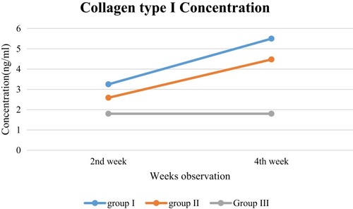 Figure 5 Collagen type I–concentration pattern.