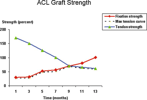 Figure 1. Conceptual model of the relationship among anterior cruciate ligament graft strength, fixation strength, and functional tension over the early rehabilitation period, depicting that the tension applied to the healing graft should be selected with the view that its strength is changing along with fixation strength over time. The specific amount of tension in light of surgery type remains to be determined, however.