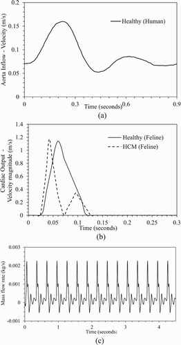 Figure 3. Inlet velocity profile for (a) human abdominal aorta for healthy condition, and (b) feline aorta for healthy and HCM conditions over a cardiac cycle. (c) Time history of mass outflow from the feline common iliac artery for HCM condition over 15 cardiac cycles.