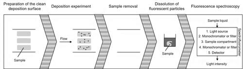 Figure 3. Fluorescence spectroscopy – stages.