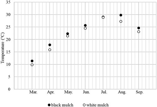 Figure 1. Soil temperature at the experimental site.